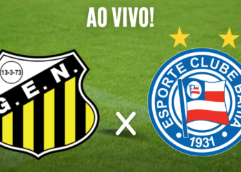 Assistir Novorizontino x Bahia pela 33º rodada do Campeonato Brasileiro