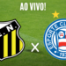 Assistir Novorizontino x Bahia pela 33º rodada do Campeonato Brasileiro