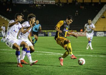 Novorizontino 1 x 1 Bahia: Assista aos gols e melhores momentos da partida