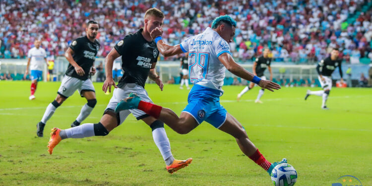 Bahia 1 x 2 Botafogo: Confira imagens da partida