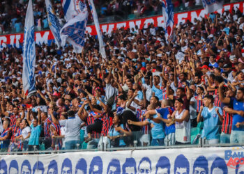 Bahia 1 x 2 Botafogo: Confira imagens da partida