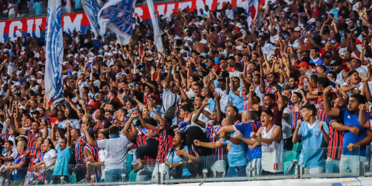 Bahia 1 x 2 Botafogo: Confira imagens da partida