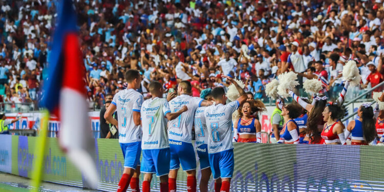 Bahia 1 x 2 Botafogo: Confira imagens da partida