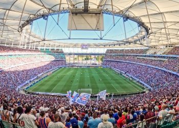Pesquisa confirma o Bahia entre as 12 maiores torcidas do Brasil