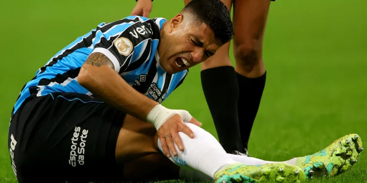 Presidente do Grêmio veta viagem de Suárez à Espanha antes de jogos contra o Bahia: ‘Para que possamos passar para as semifinais’