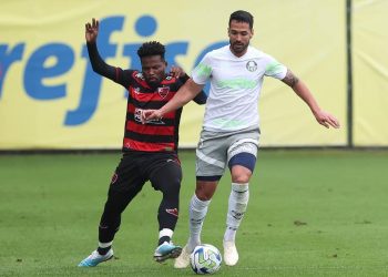 Próximo adversário do Bahia, Palmeiras vence o Oeste em jogo-treino
