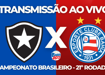 Assistir Botafogo x Bahia AO VIVO pela 21º rodada do Campeonato Brasileiro
