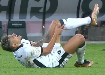 Botafogo perde artilheiro do Brasileirão para enfrentar o Bahia na 21º rodada