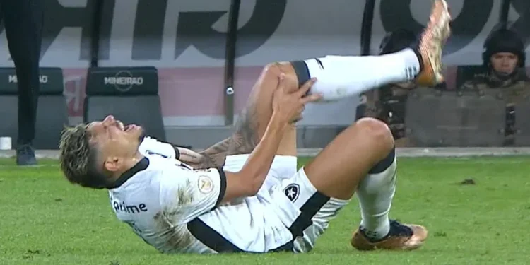 Botafogo perde artilheiro do Brasileirão para enfrentar o Bahia na 21º rodada