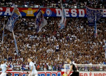 Com carga promocional, Bahia inicia venda de ingressos para jogo contra o Santos na Fonte Nova