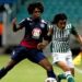 Saiba como foi a última vez que o Bahia enfrentou o Atlético Nacional