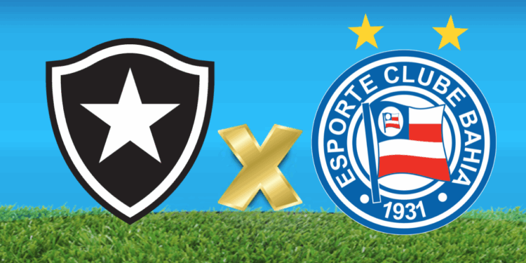 Botafogo x Bahia: prováveis escalações, onde assistir, arbitragem e tudo sobre o jogo pelo Brasileirão