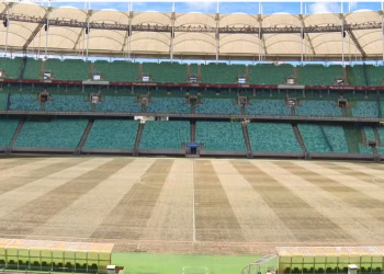 Arena Fonte Nova confirma mudança do gramado após críticas